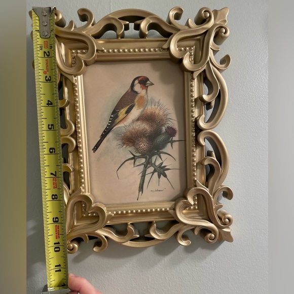 Ornate Gold Picture Frames with Vintage Bird Art - Picture 5 of 5